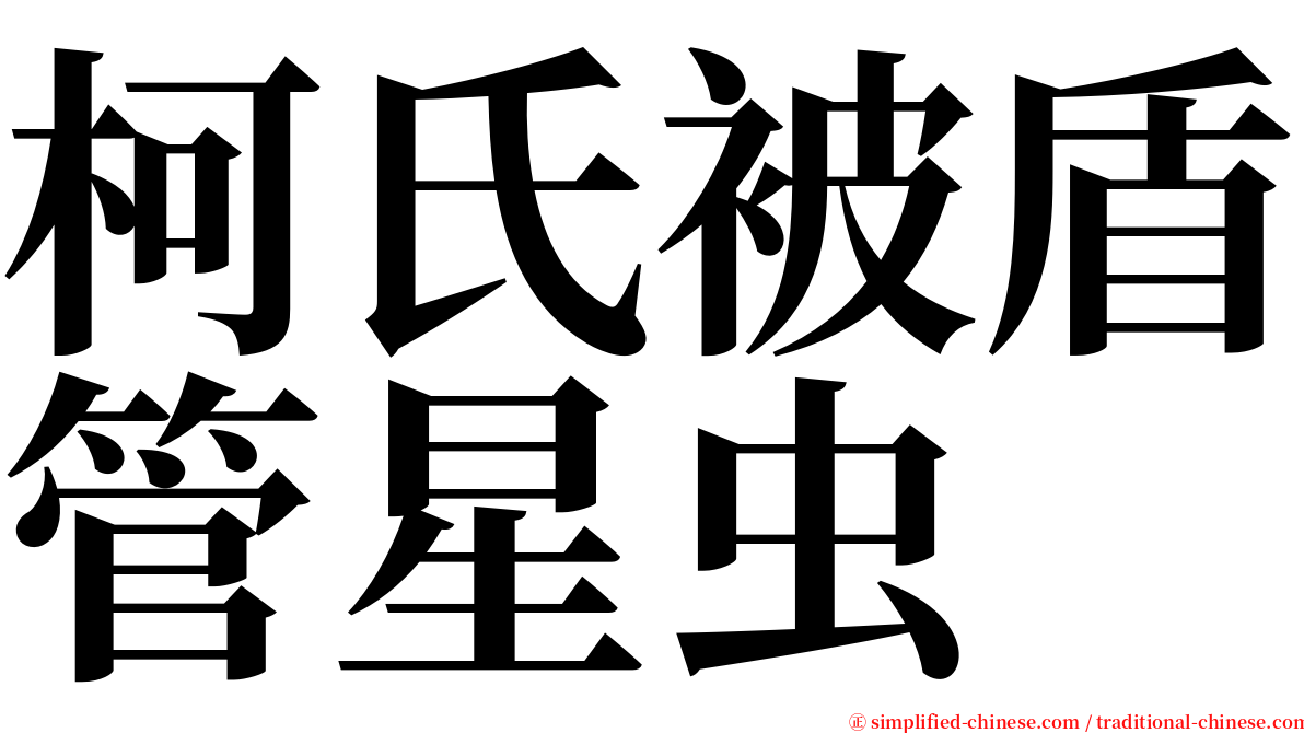 柯氏被盾管星虫 serif font