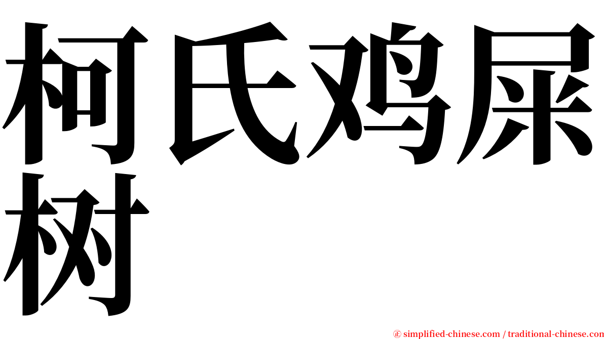 柯氏鸡屎树 serif font