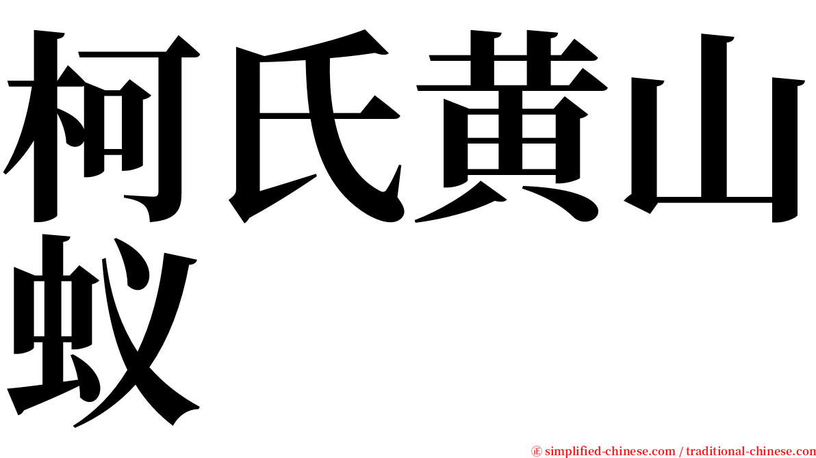 柯氏黄山蚁 serif font