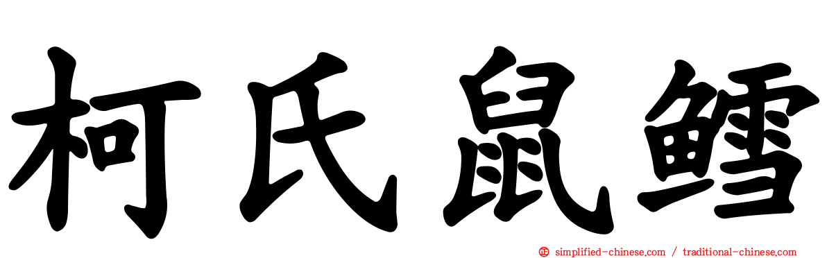 柯氏鼠鳕