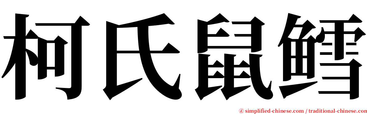 柯氏鼠鳕 serif font