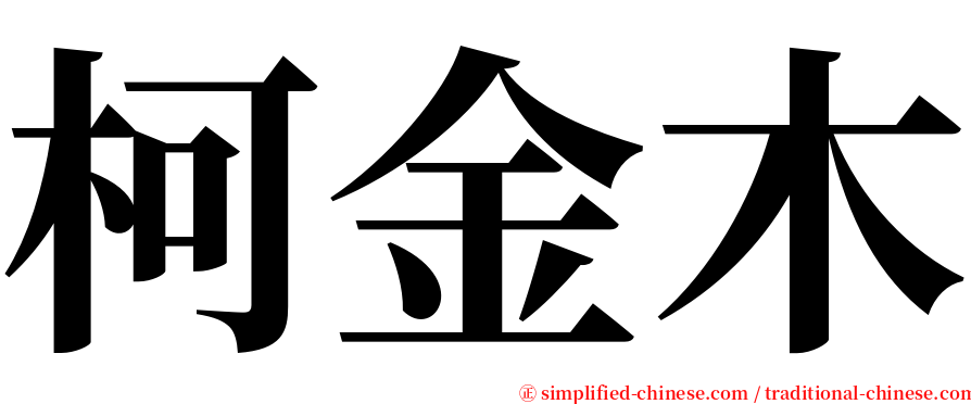 柯金木 serif font