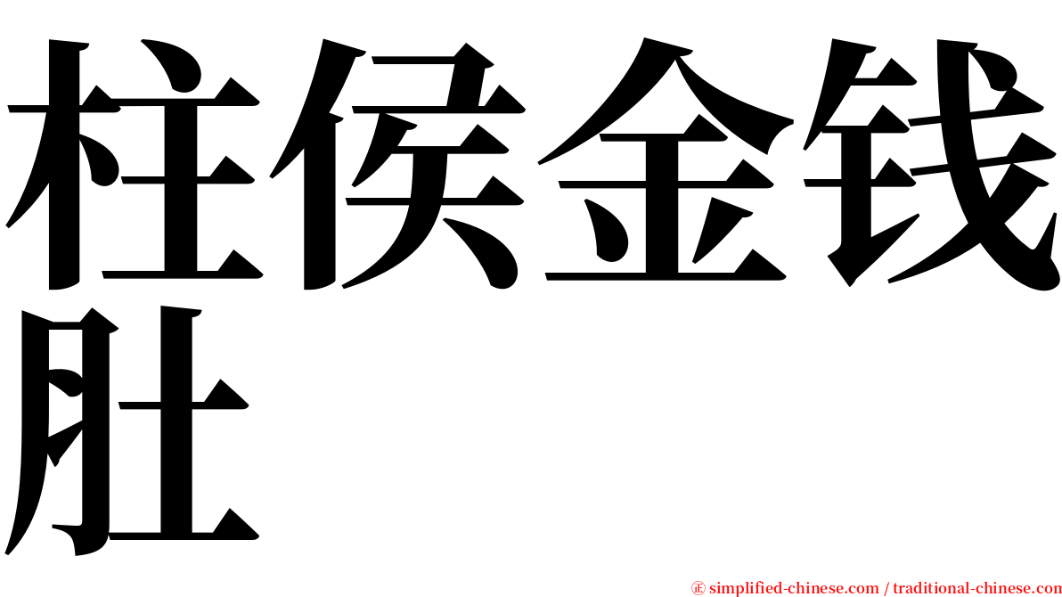 柱侯金钱肚 serif font