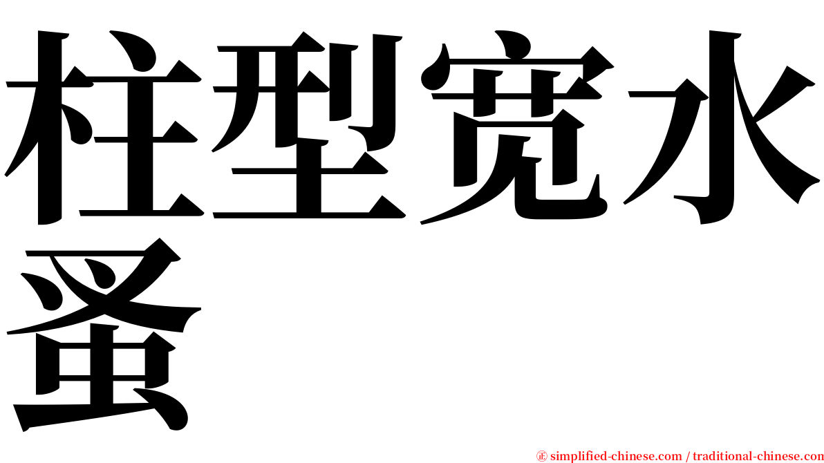 柱型宽水蚤 serif font