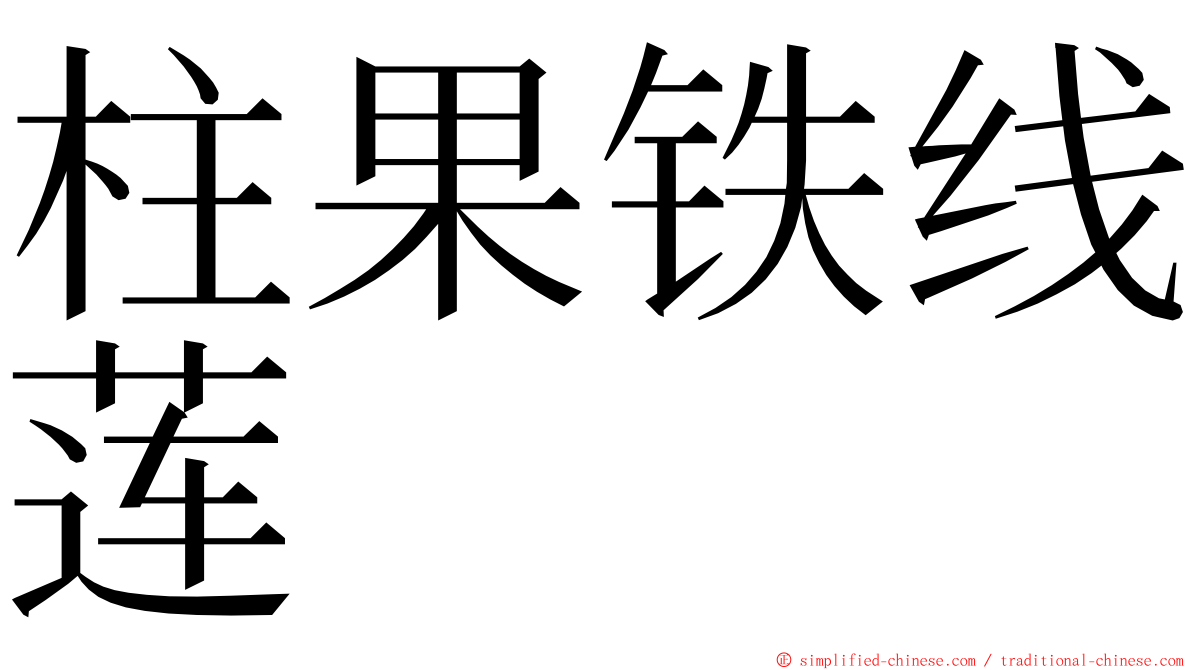 柱果铁线莲 ming font