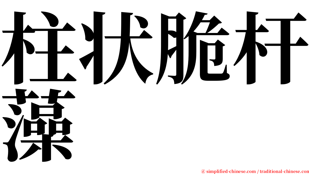 柱状脆杆藻 serif font