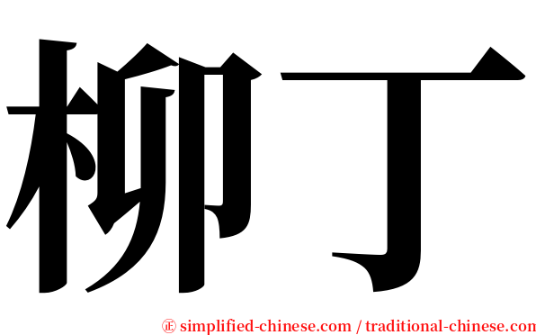 柳丁 serif font