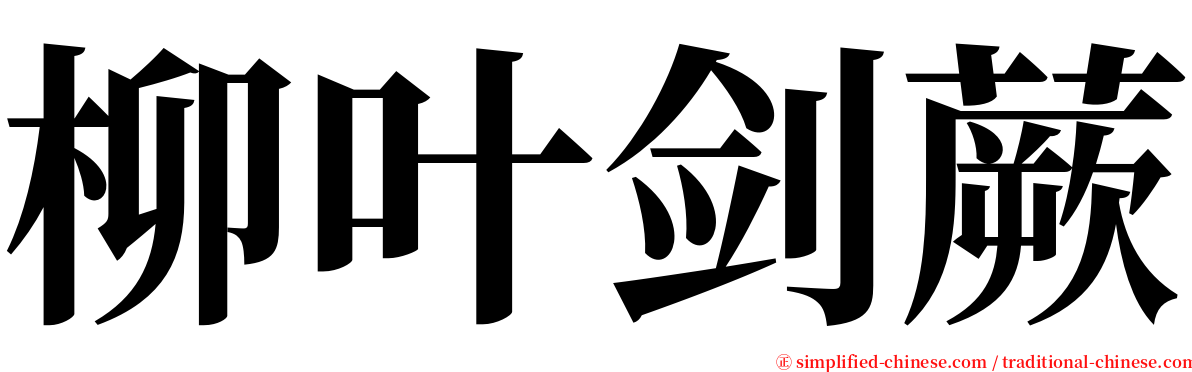 柳叶剑蕨 serif font