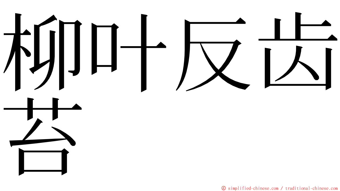 柳叶反齿苔 ming font