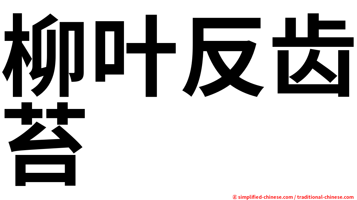 柳叶反齿苔