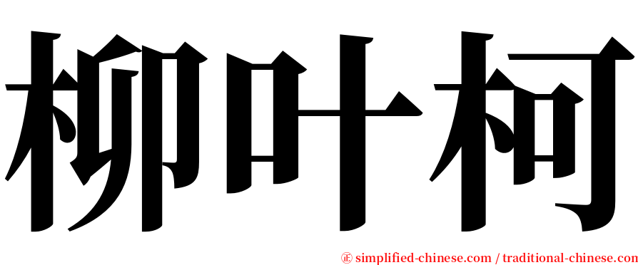 柳叶柯 serif font