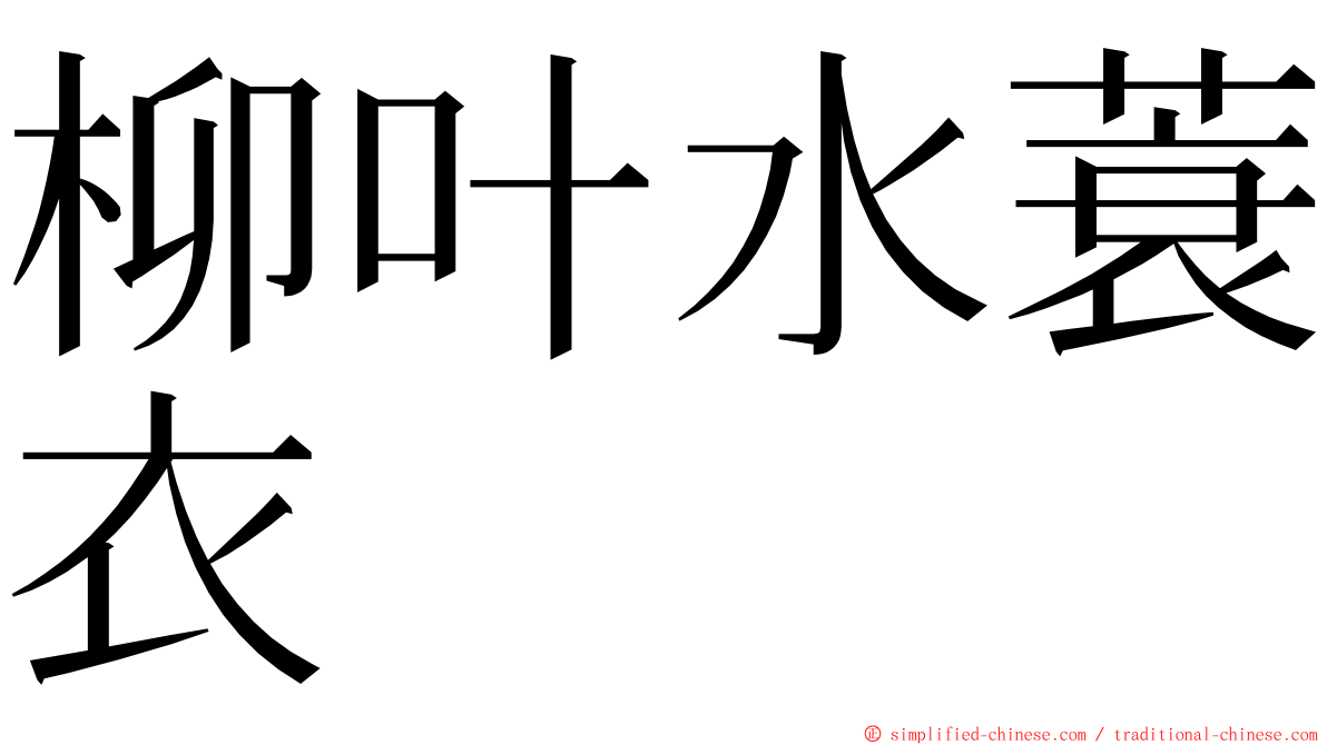 柳叶水蓑衣 ming font