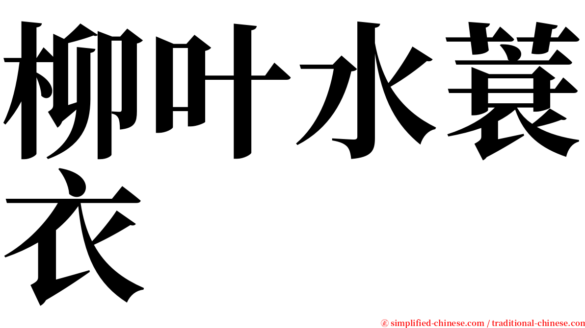 柳叶水蓑衣 serif font