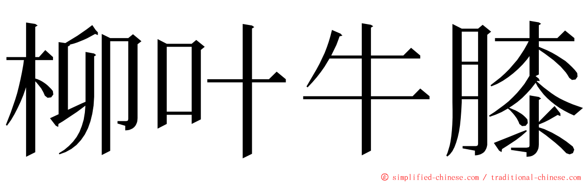 柳叶牛膝 ming font