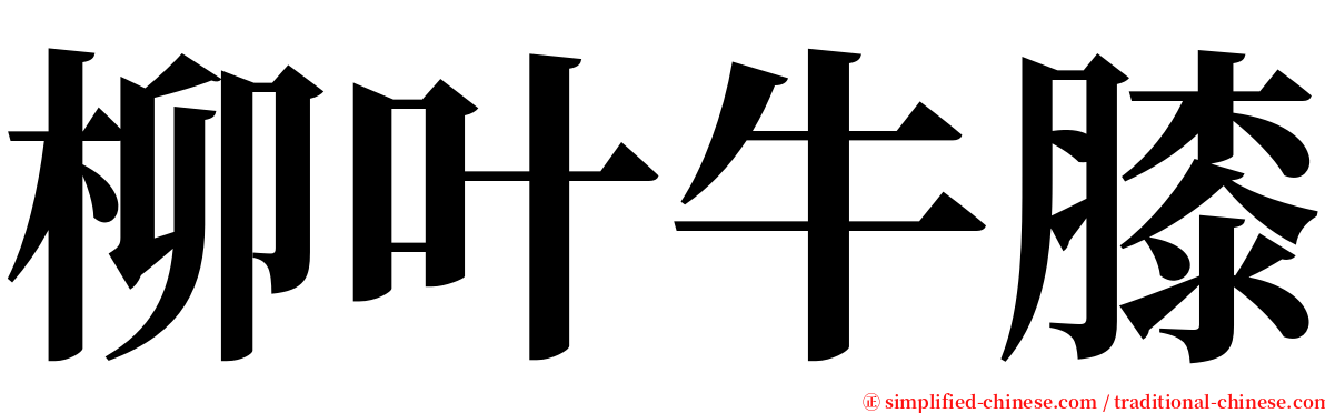 柳叶牛膝 serif font