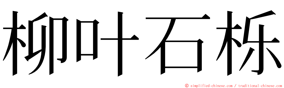 柳叶石栎 ming font