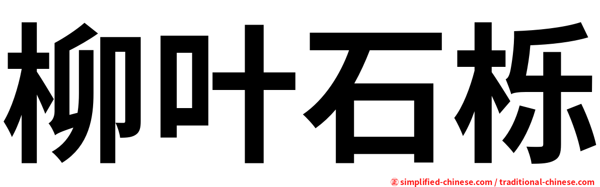 柳叶石栎