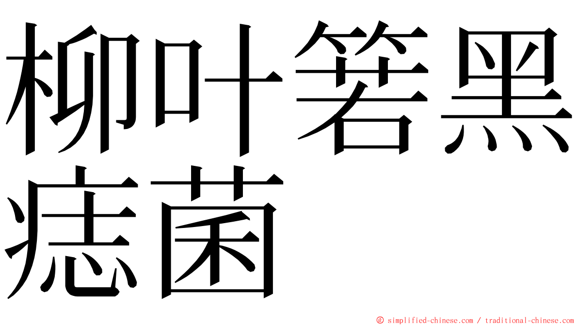 柳叶箬黑痣菌 ming font