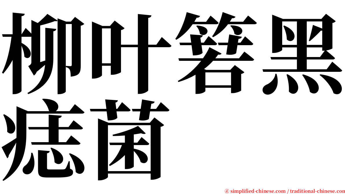 柳叶箬黑痣菌 serif font