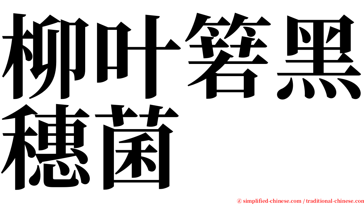 柳叶箬黑穗菌 serif font