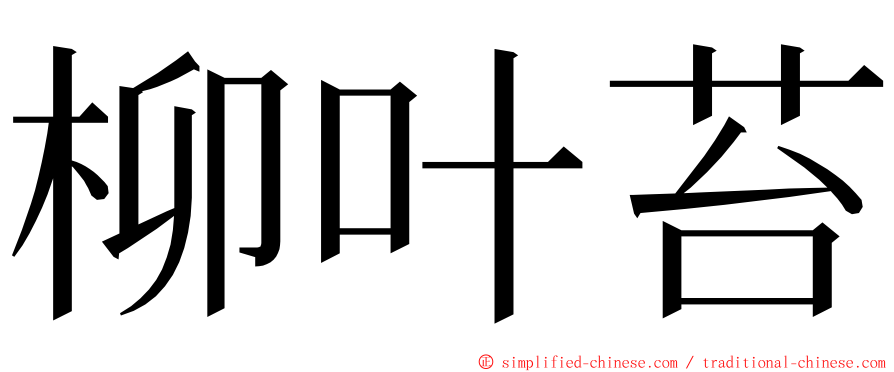 柳叶苔 ming font