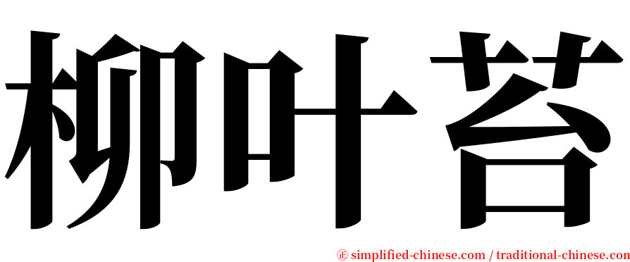 柳叶苔 serif font