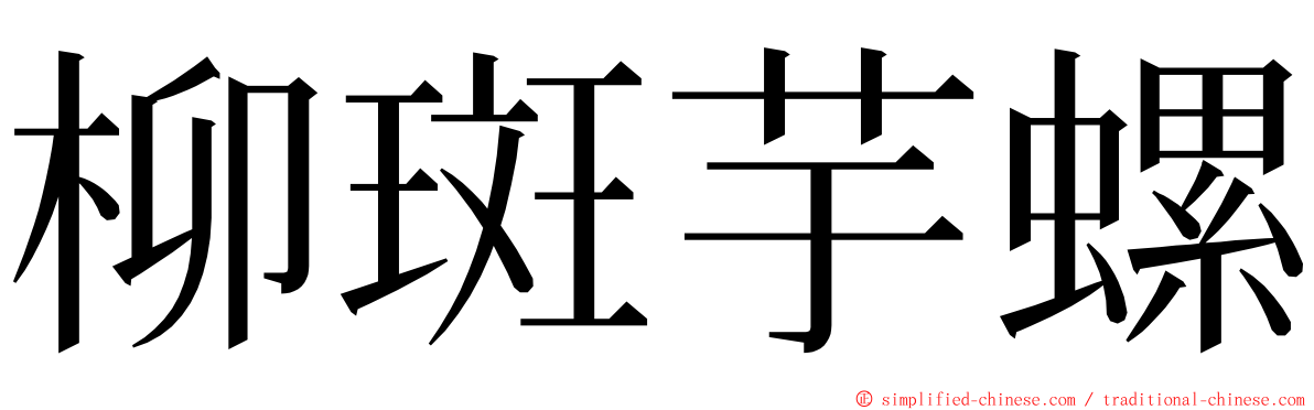 柳斑芋螺 ming font
