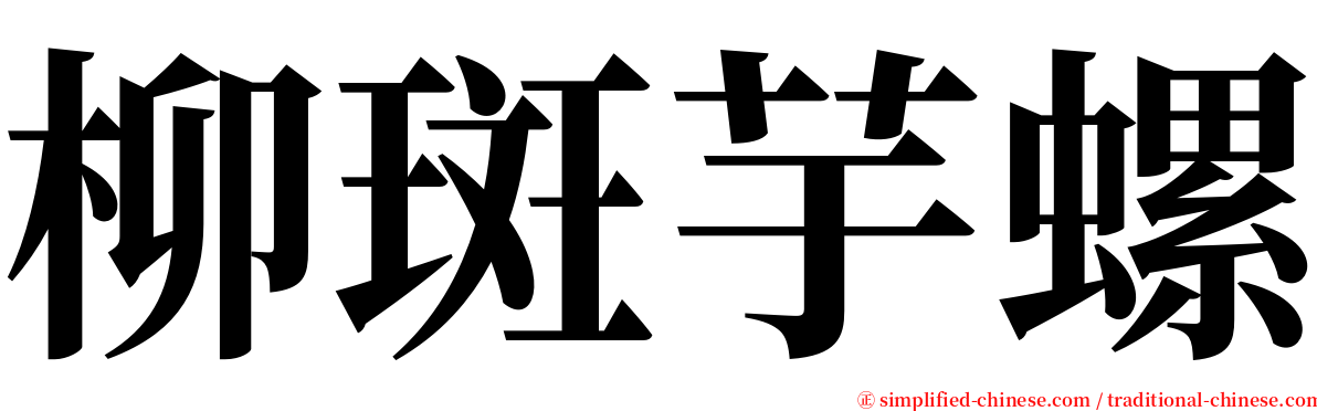 柳斑芋螺 serif font