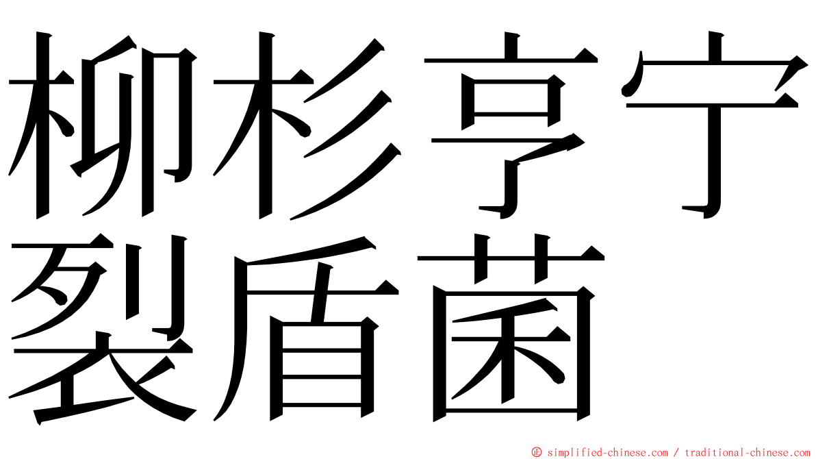 柳杉亨宁裂盾菌 ming font