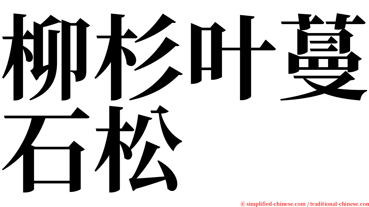 柳杉叶蔓石松 serif font