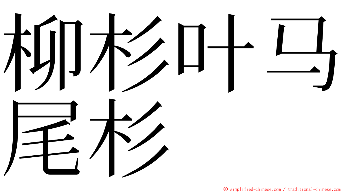 柳杉叶马尾杉 ming font