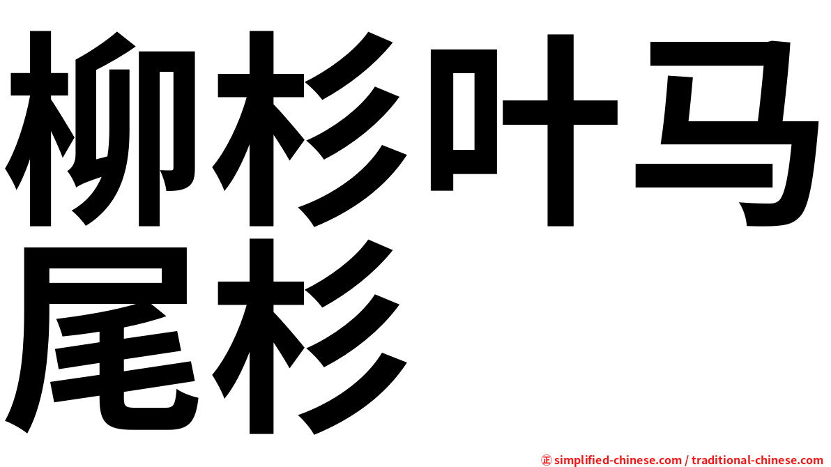 柳杉叶马尾杉