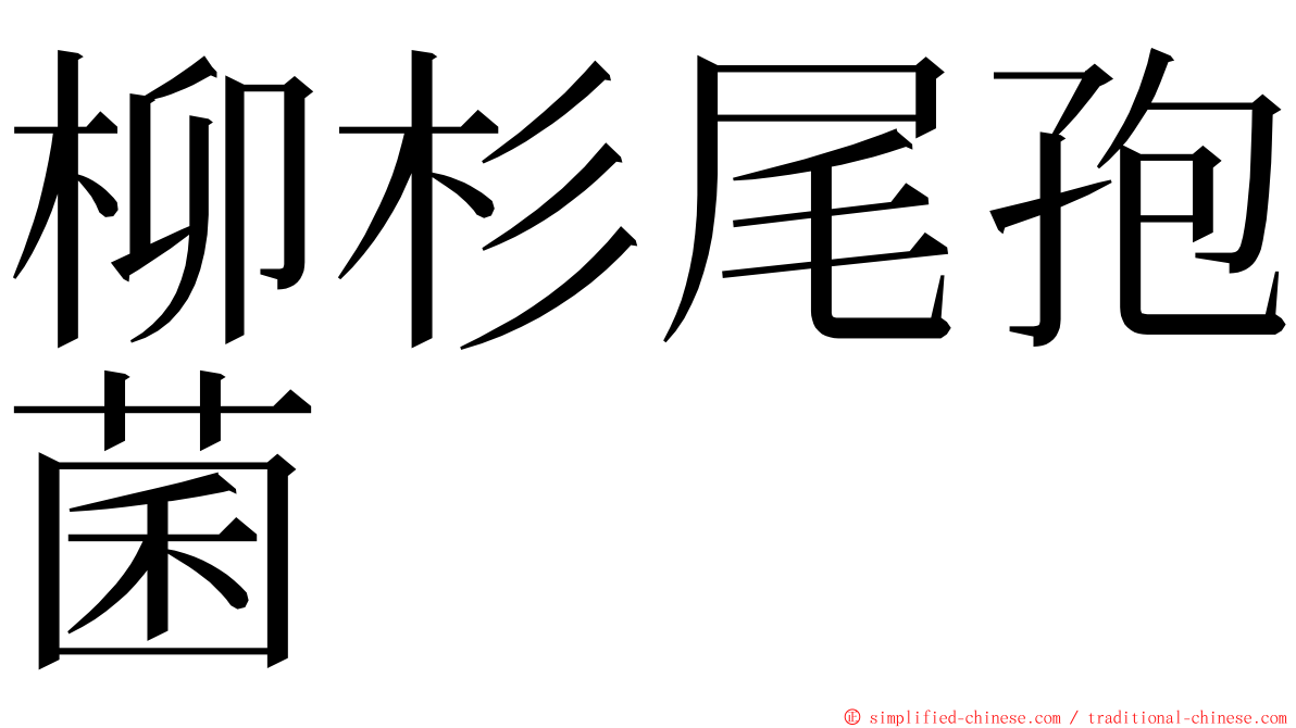 柳杉尾孢菌 ming font