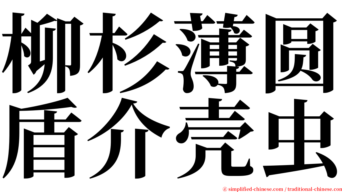 柳杉薄圆盾介壳虫 serif font