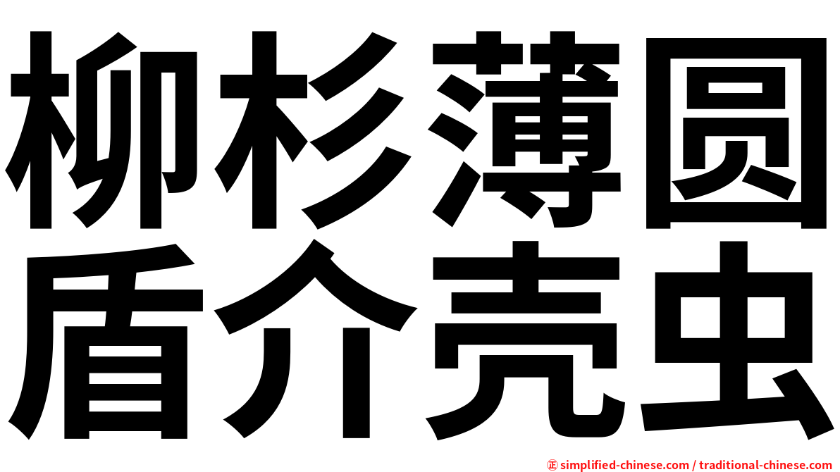 柳杉薄圆盾介壳虫