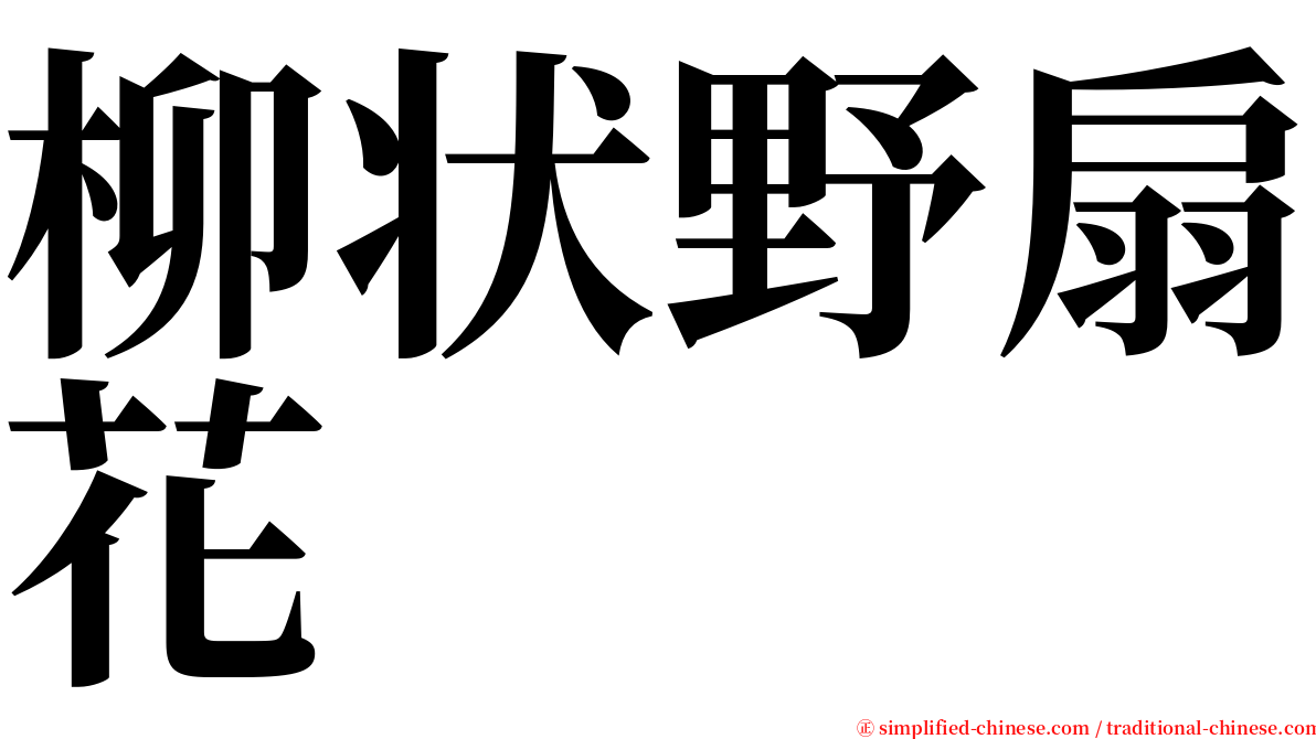 柳状野扇花 serif font