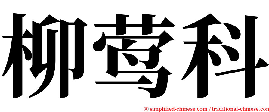 柳莺科 serif font