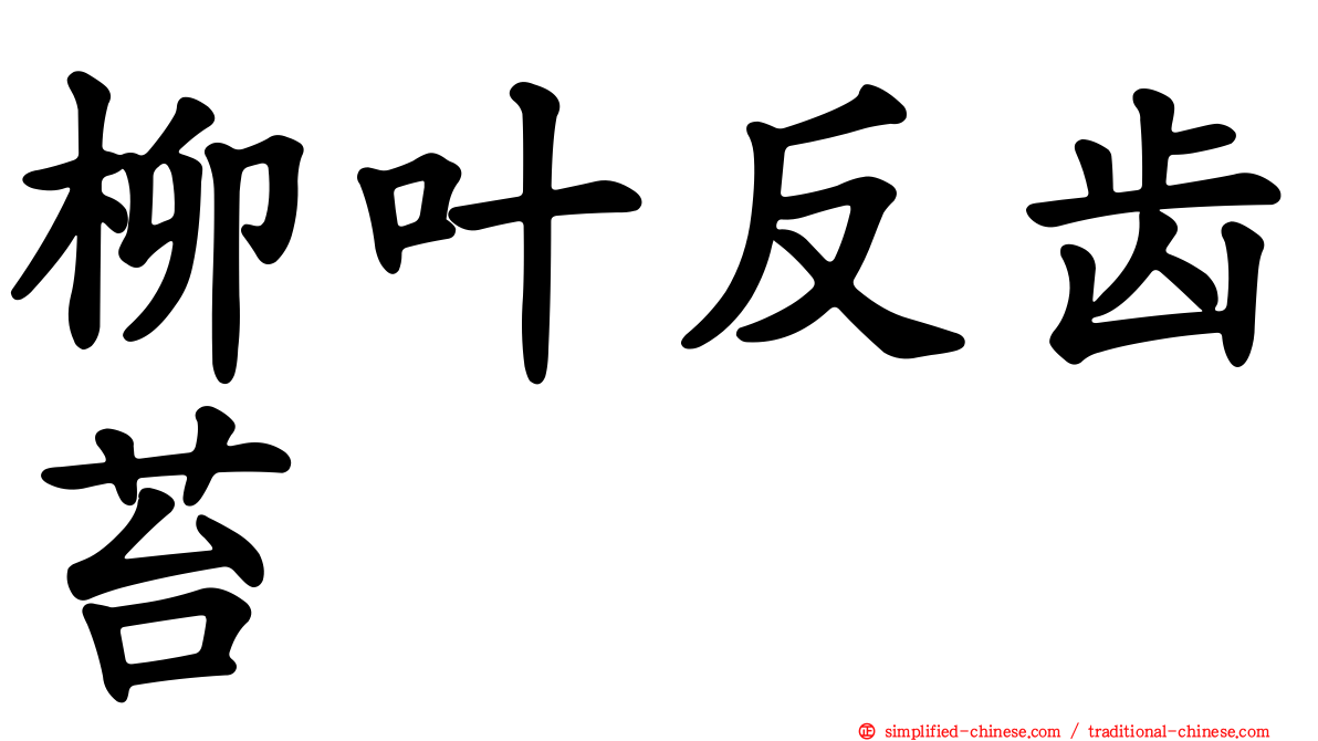 柳叶反齿苔