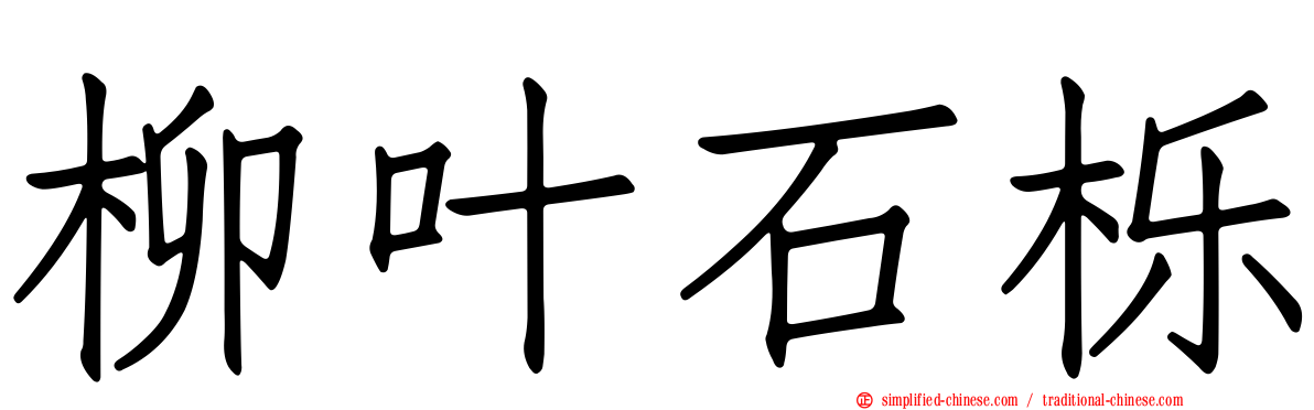 柳叶石栎