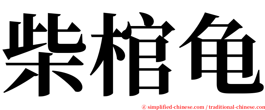 柴棺龟 serif font