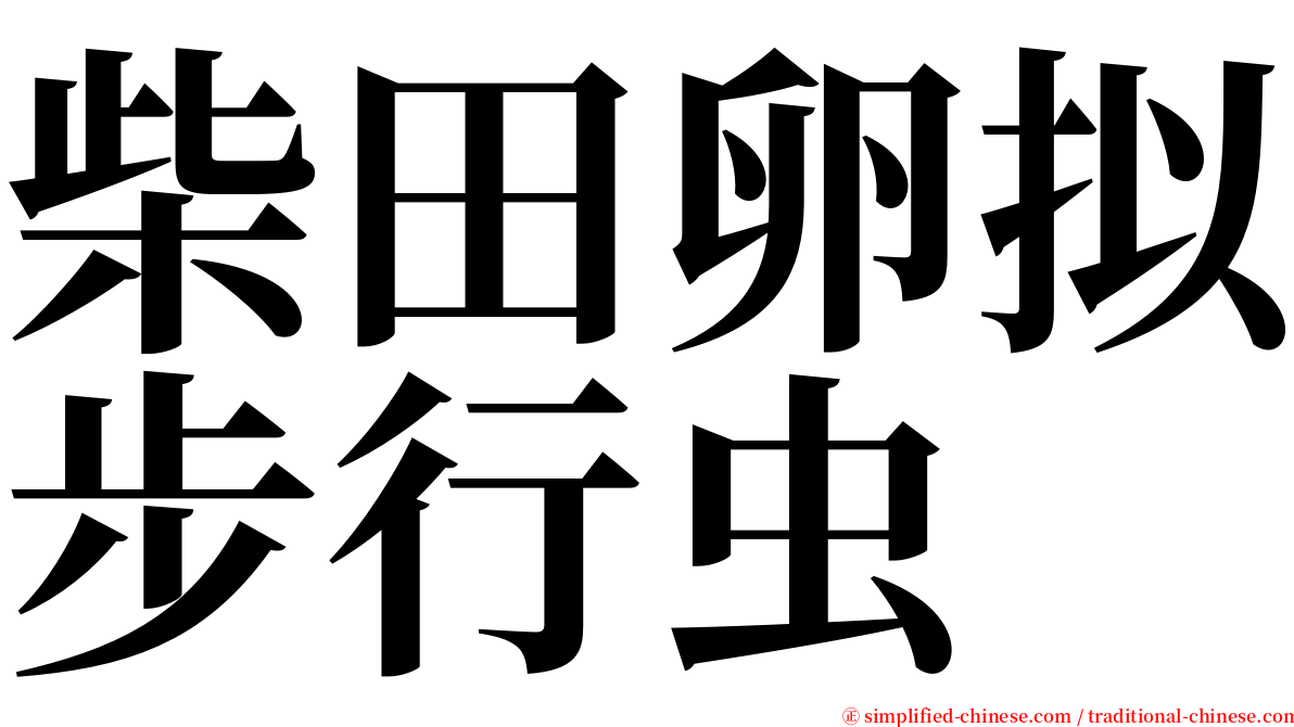 柴田卵拟步行虫 serif font