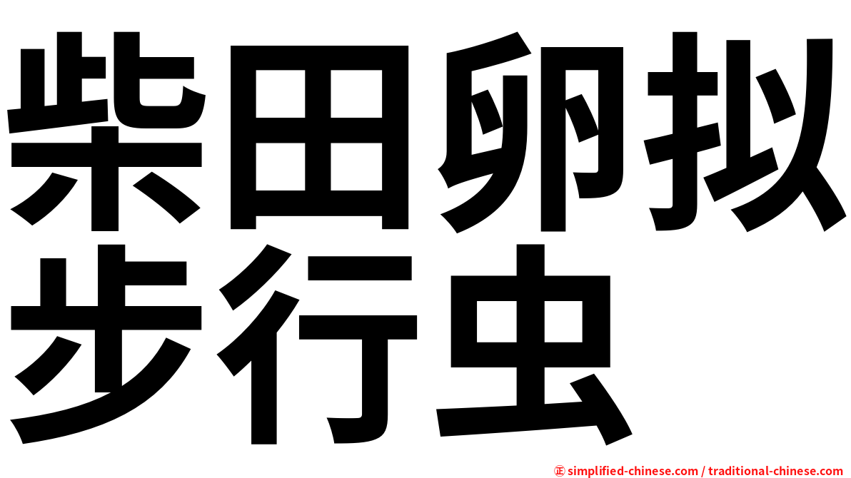 柴田卵拟步行虫