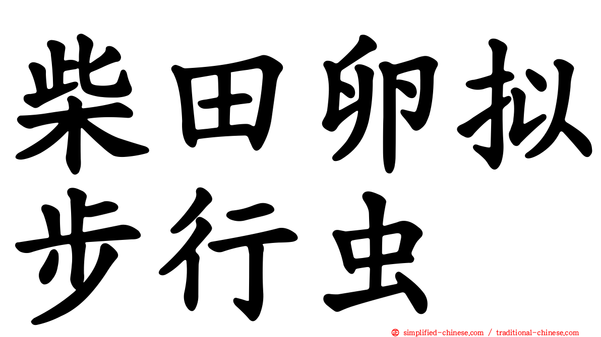 柴田卵拟步行虫