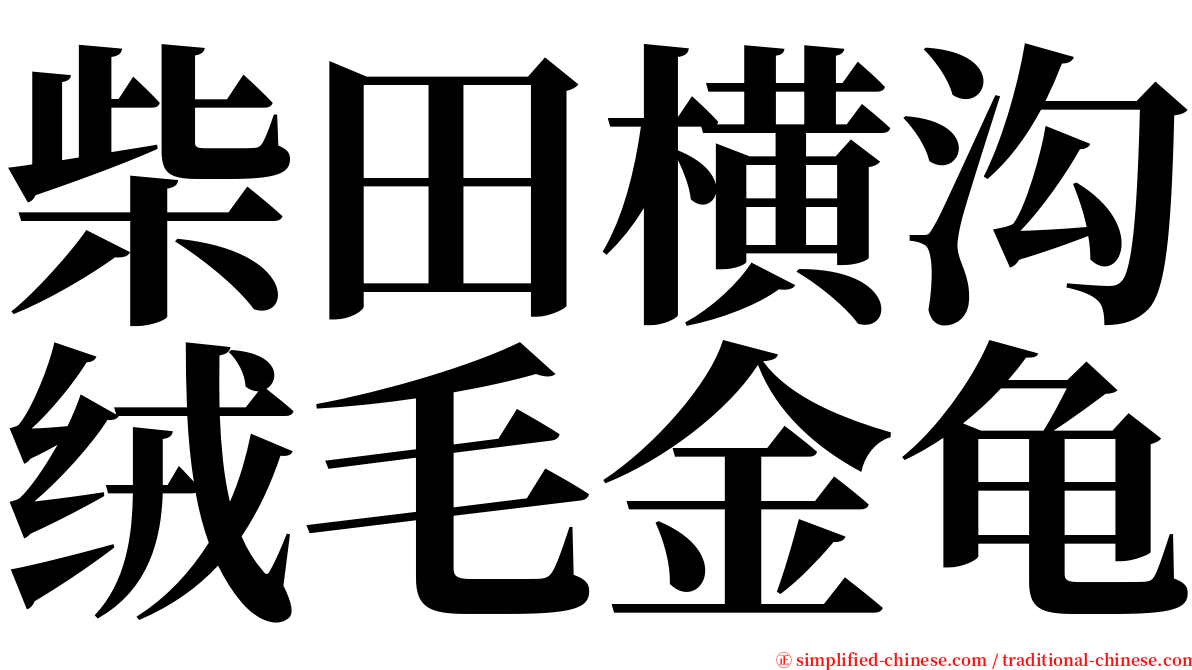 柴田横沟绒毛金龟 serif font