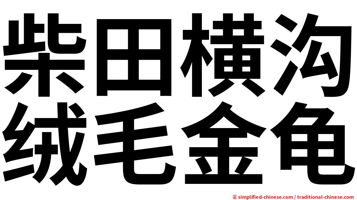 柴田横沟绒毛金龟