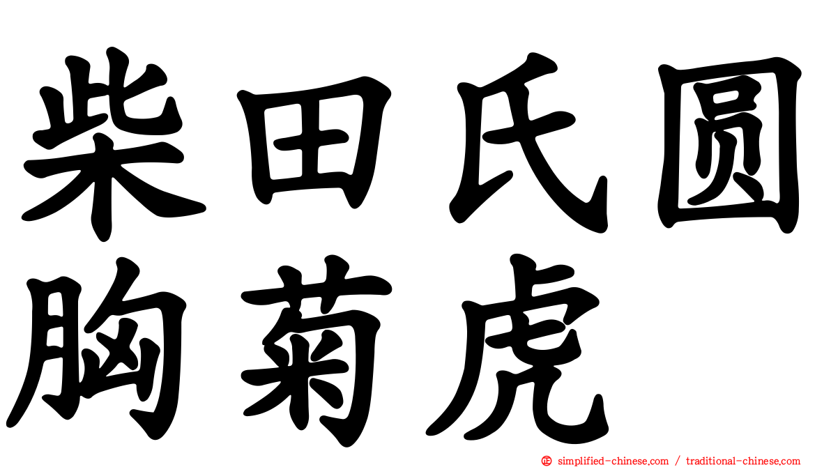 柴田氏圆胸菊虎