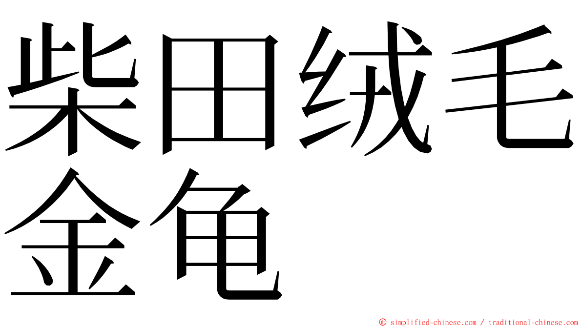 柴田绒毛金龟 ming font