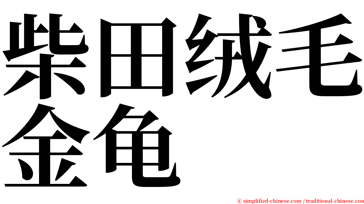 柴田绒毛金龟 serif font