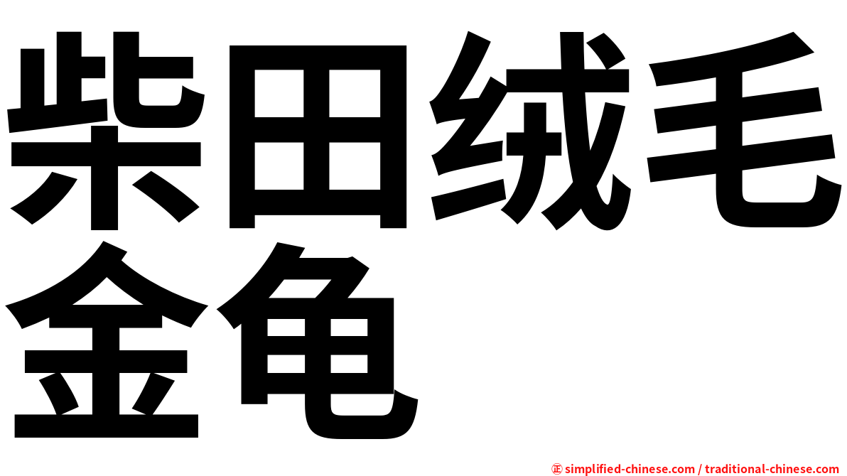 柴田绒毛金龟