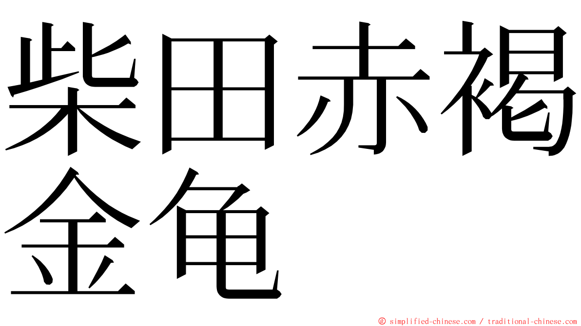 柴田赤褐金龟 ming font